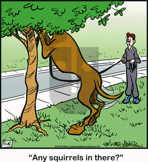 Marmaduke on Friday November 15, 2019 Comic Strip