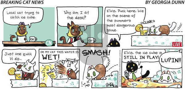 Breaking Cat News on Sunday July 12, 2020 Comic Strip