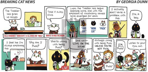 Breaking Cat News on Sunday February 3, 2019 Comic Strip