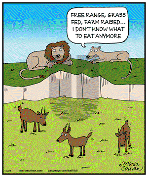 Half Full on Tuesday October 21, 2014 Comic Strip