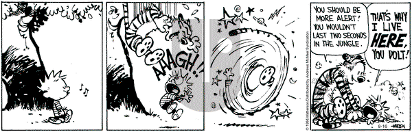Calvin and Hobbes - Friday August 16, 2024 Comic Strip