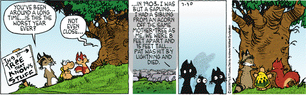 Over the Hedge on Thursday July 30, 2020 Comic Strip