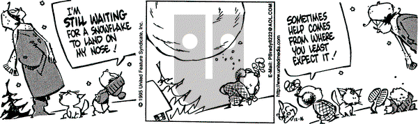 Rose is Rose on Saturday December 16, 1995 Comic Strip