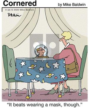 Cornered on Friday November 20, 2020 Comic Strip