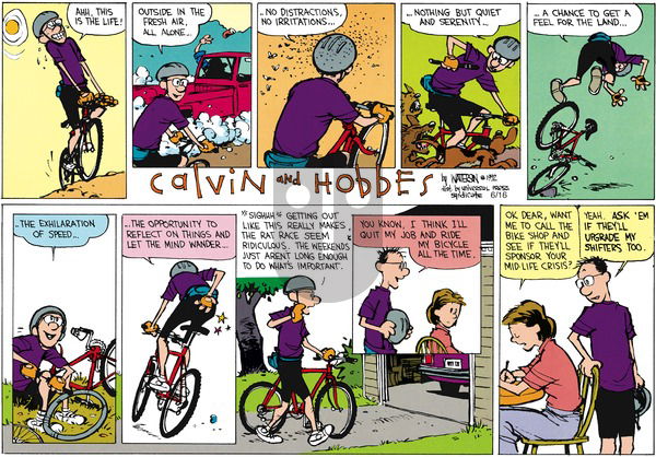 Calvin and Hobbes on Sunday August 2, 1992 Comic Strip