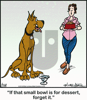 Marmaduke on Tuesday July 16, 2019 Comic Strip
