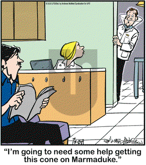 Marmaduke on Wednesday May 27, 2020 Comic Strip