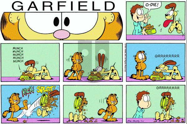 Garfield on Sunday July 11, 1993 Comic Strip
