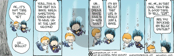 Non Sequitur on Friday July 24, 2009 Comic Strip
