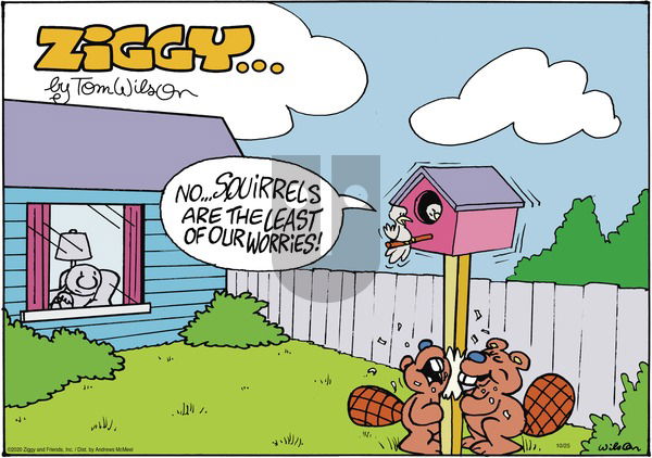 Ziggy on Sunday October 25, 2020 Comic Strip