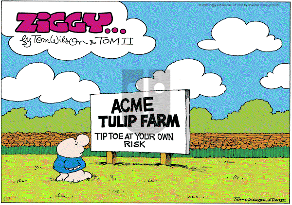 Ziggy - Sunday May 7, 2006 Comic Strip