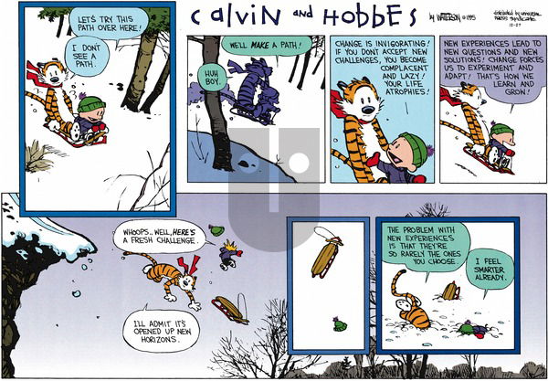 Calvin and Hobbes on Sunday December 27, 2015 Comic Strip