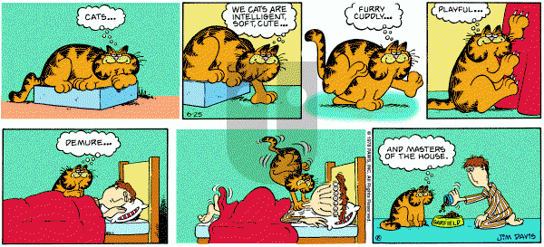 Garfield on Sunday June 25, 1978 Comic Strip