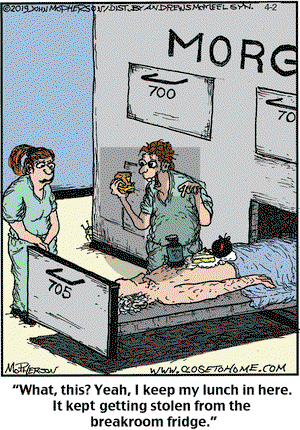 Close to Home on Wednesday April 2, 2025 Comic Strip