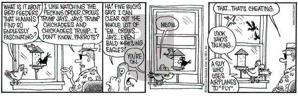 Monty on Saturday March 5, 2005 Comic Strip