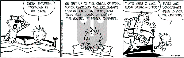 Calvin and Hobbes - Saturday May 13, 1995 Comic Strip