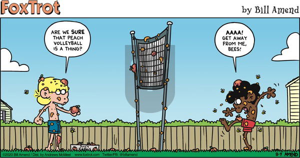 FoxTrot on Sunday August 9, 2020 Comic Strip