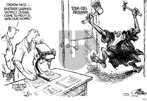 Pat Oliphant on Wednesday August 25, 2010 Comic Strip