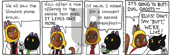 Breaking Cat News on Tuesday February 6, 2018 Comic Strip