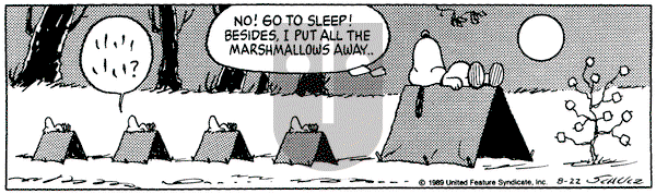 Peanuts on Tuesday August 22, 1989 Comic Strip