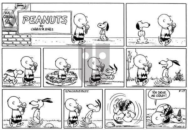 Peanuts on Sunday August 17, 1958 Comic Strip