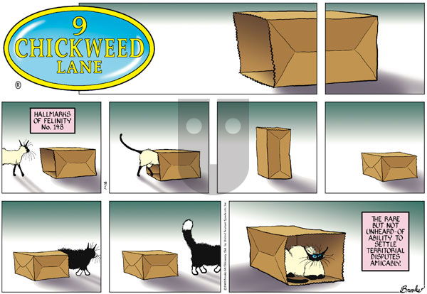 9 Chickweed Lane on Sunday January 12, 2003 Comic Strip