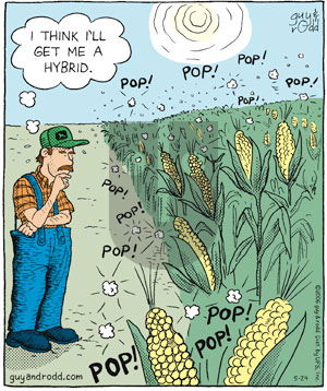 Brevity on Wednesday May 24, 2006 Comic Strip