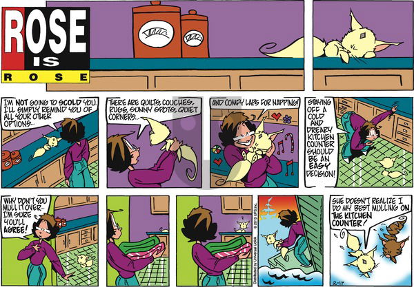 Rose is Rose on Sunday February 17, 2013 Comic Strip