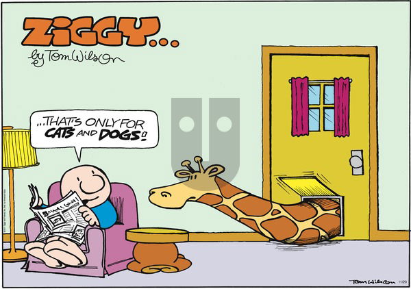 Ziggy on Sunday November 20, 2011 Comic Strip