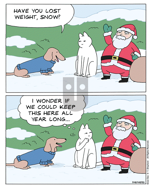 Snow Sez on Wednesday December 20, 2023 Comic Strip