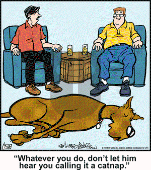 Marmaduke - Tuesday July 16, 2024 Comic Strip