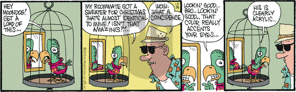 Monty on Tuesday December 28, 2010 Comic Strip