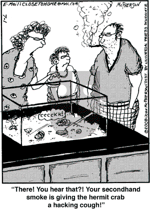 Close to Home on Tuesday July 1, 2008 Comic Strip