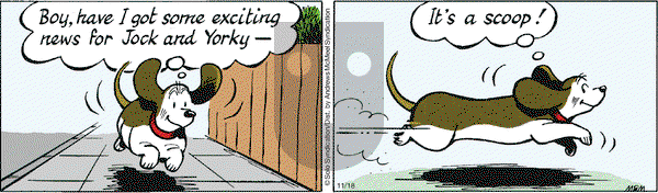 Fred Basset on Wednesday November 18, 2020 Comic Strip