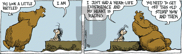 The Grizzwells on Thursday February 5, 2015 Comic Strip