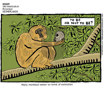 ViewsAfrica on Sunday November 4, 2007 Comic Strip
