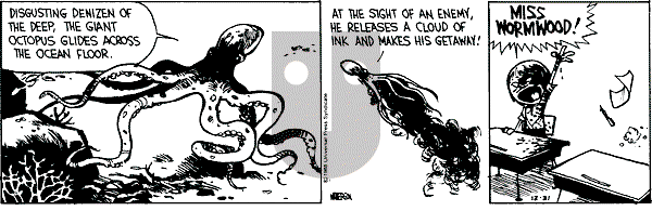 Calvin and Hobbes - Saturday December 31, 1988 Comic Strip