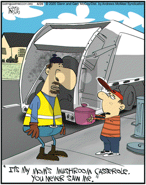 The Flying McCoys on Tuesday April 28, 2020 Comic Strip