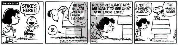 Peanuts on Tuesday August 12, 1975 Comic Strip