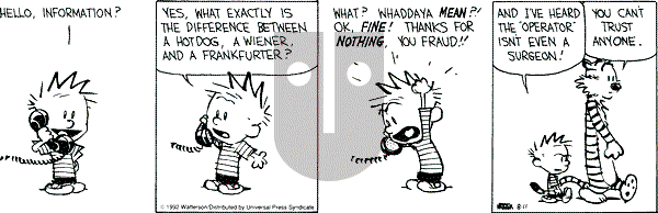 Calvin and Hobbes - Tuesday August 11, 1992 Comic Strip
