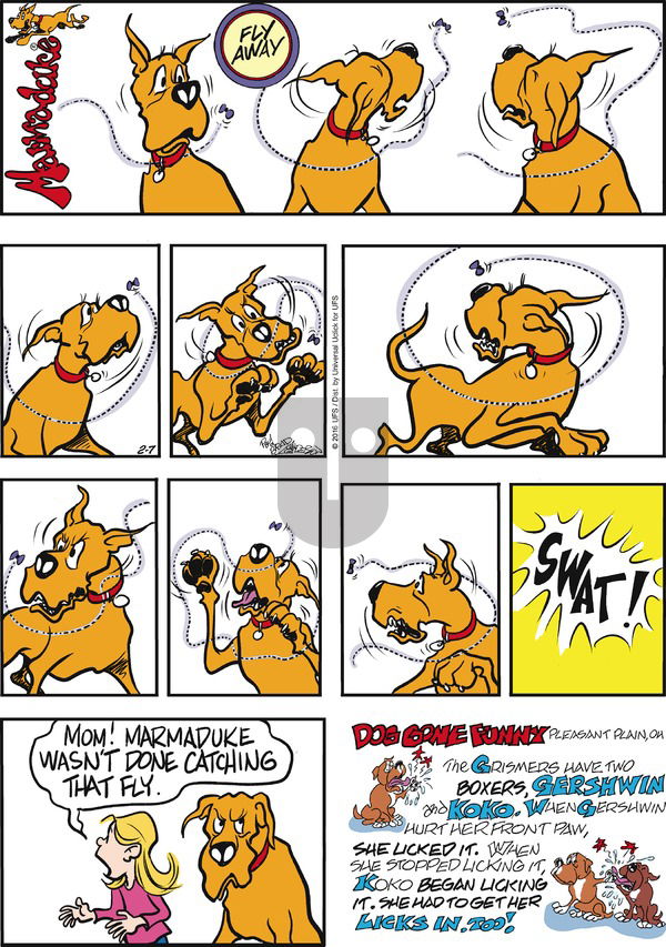 Marmaduke on Sunday February 7, 2016 Comic Strip