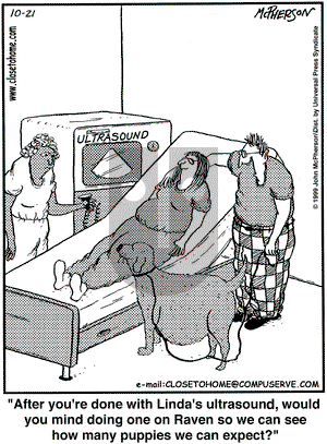 Close to Home on Thursday October 21, 1999 Comic Strip