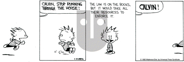 Calvin and Hobbes on Saturday February 25, 1995 Comic Strip