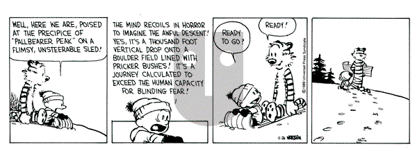 Calvin and Hobbes on Tuesday December 26, 1989 Comic Strip
