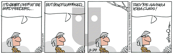 Next Door Neighbors - Thursday February 29, 2024 Comic Strip