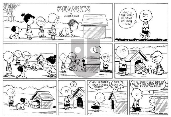 Peanuts on Sunday January 31, 1954 Comic Strip