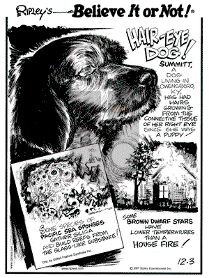 Ripley's Believe It or Not on Monday December 3, 2007 Comic Strip