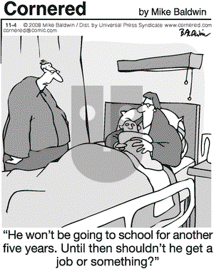 Cornered on Tuesday November 4, 2008 Comic Strip