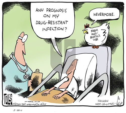 Tom Toles on Sunday May 29, 2011 Comic Strip