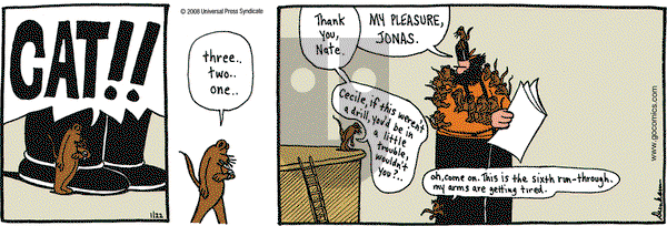 Overboard on Tuesday January 22, 2008 Comic Strip